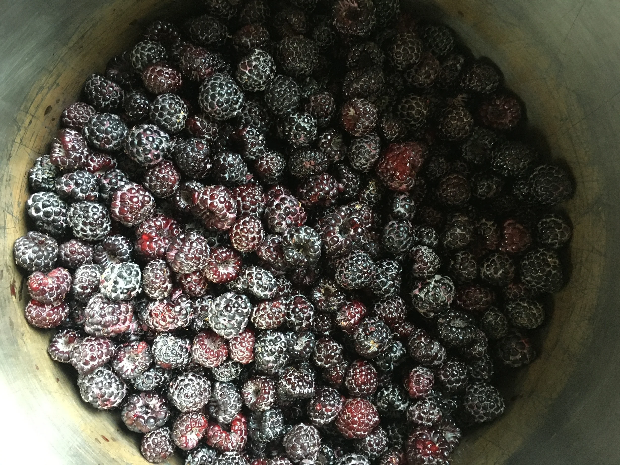 Blue Chair Fruit's Black Raspberry Jam