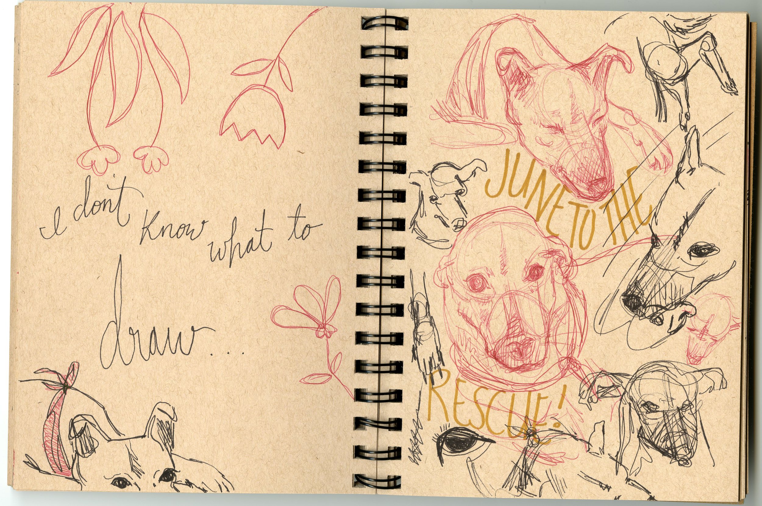 sketchbook010.jpg