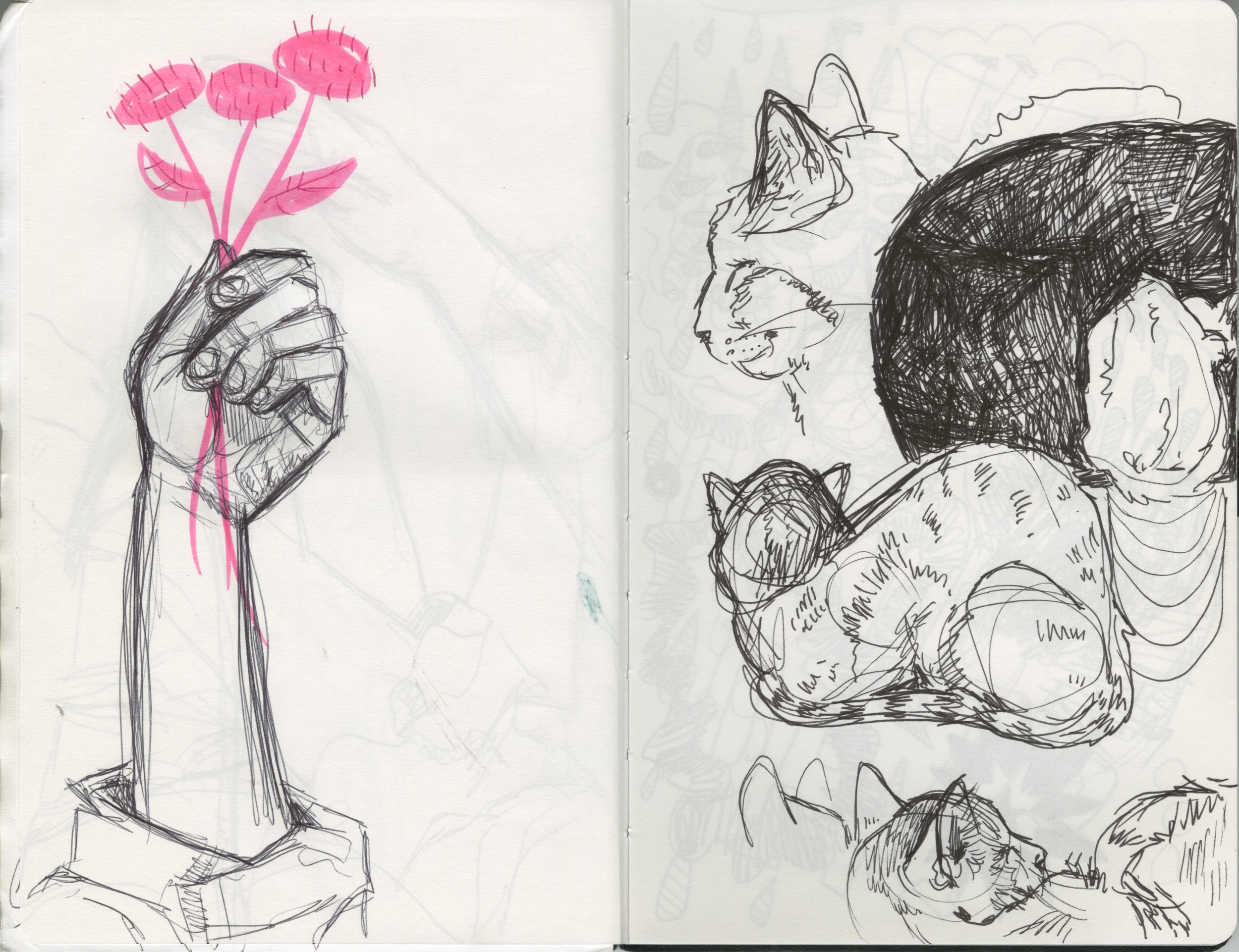 sketchbook 15.jpeg