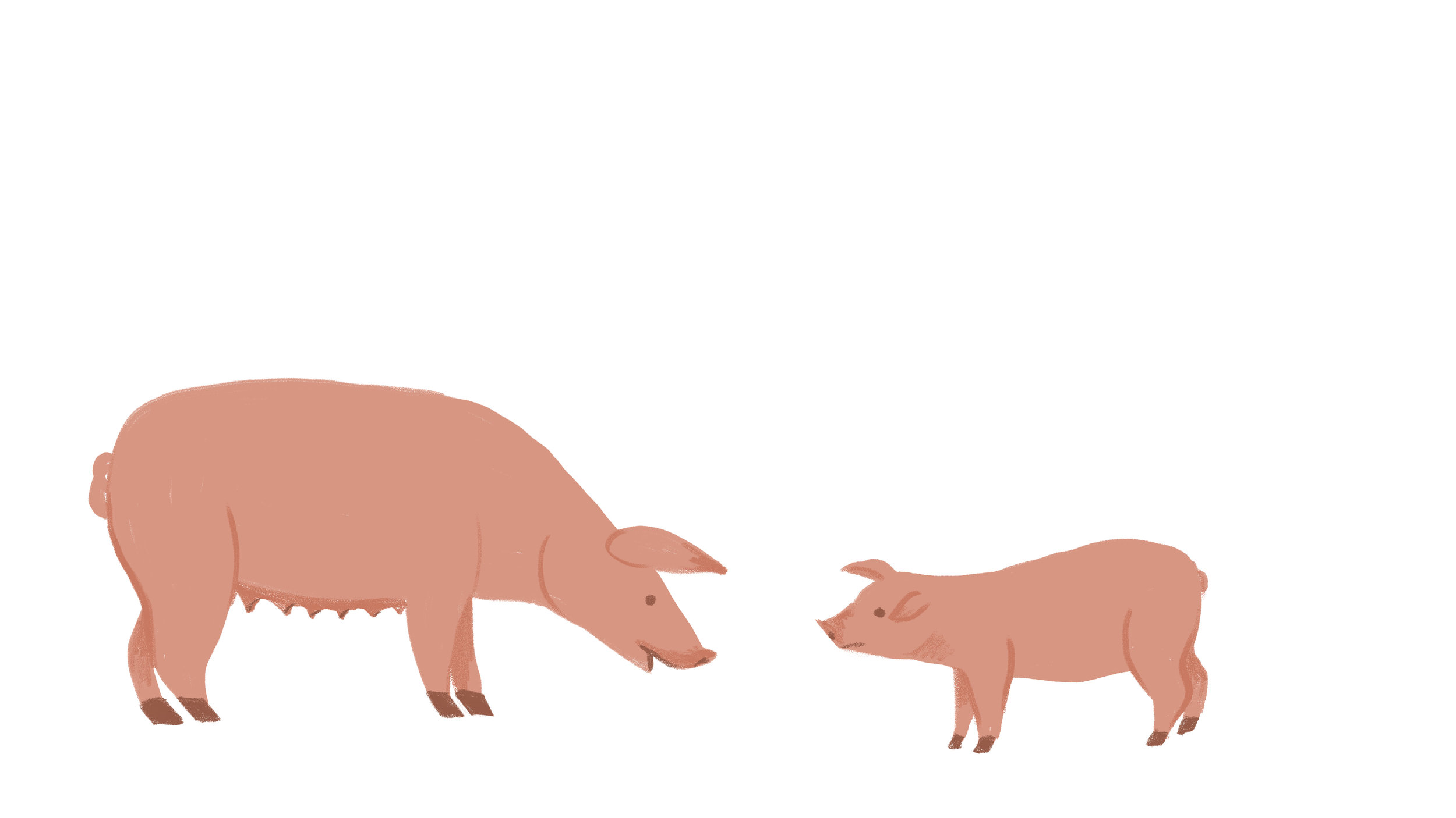 Pig and Piglet copy.jpg