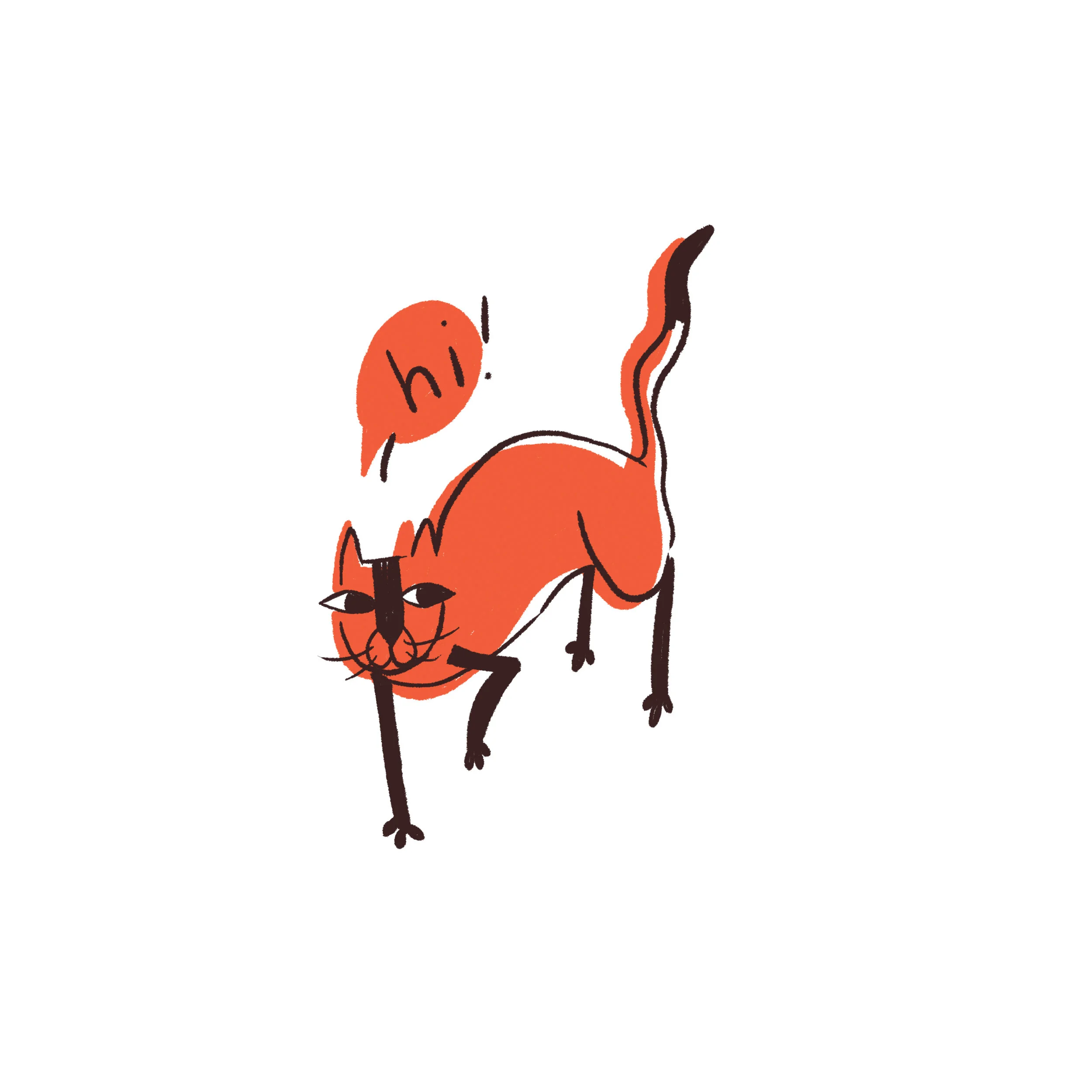 Cat.jpg