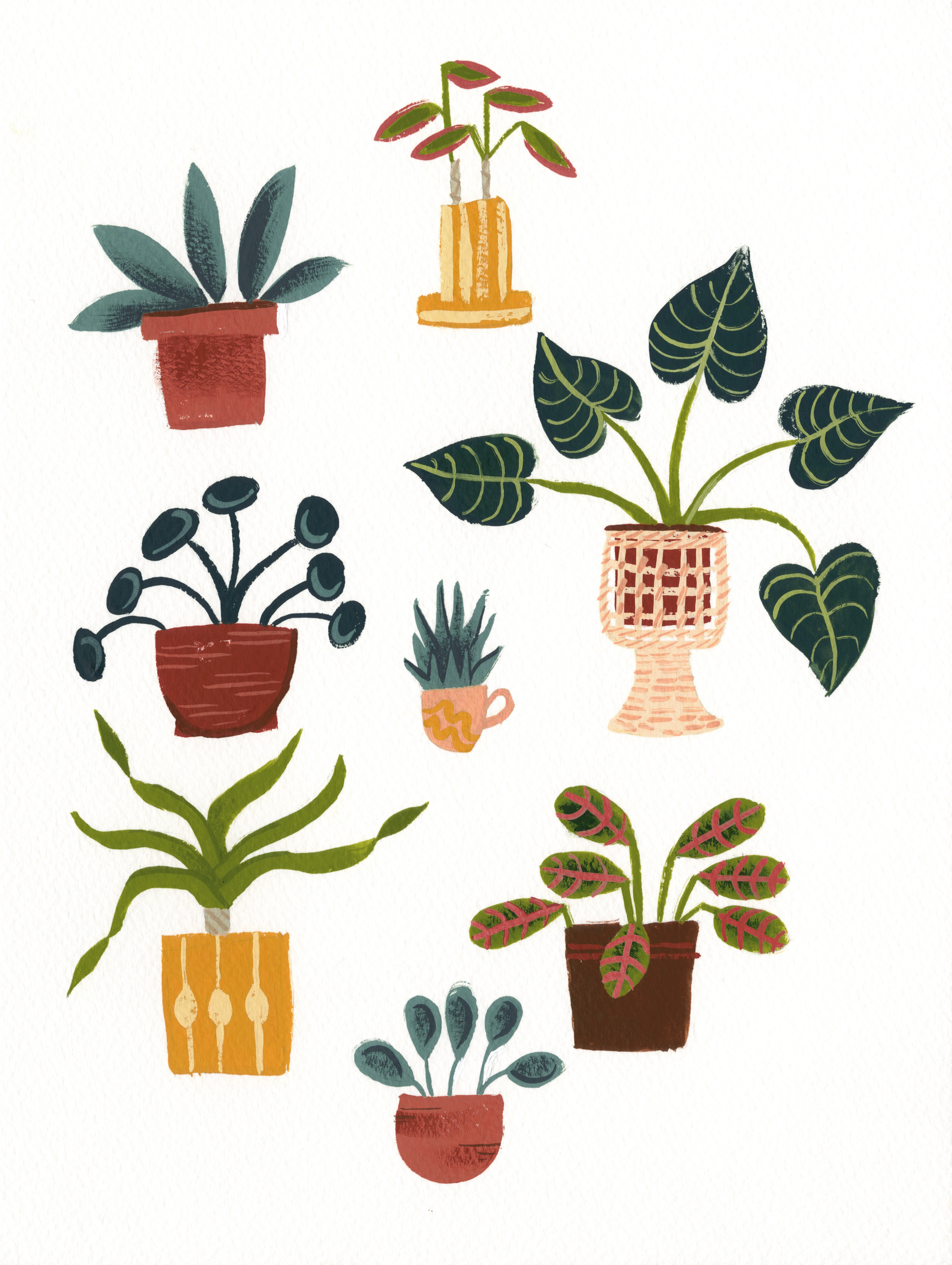 Potted Plants.jpg