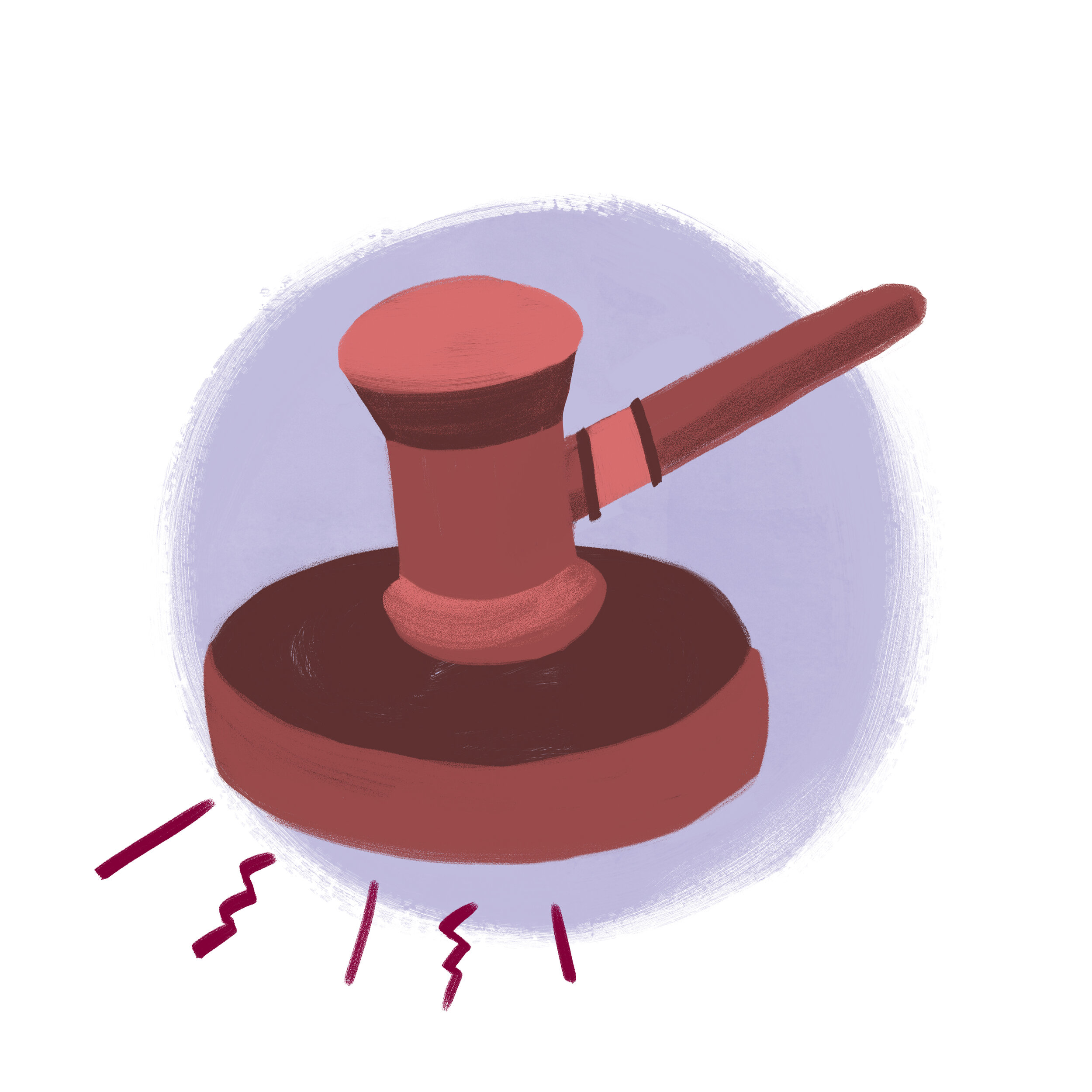 Your Vote Your Voice Gavel Spot 3 copy.jpg