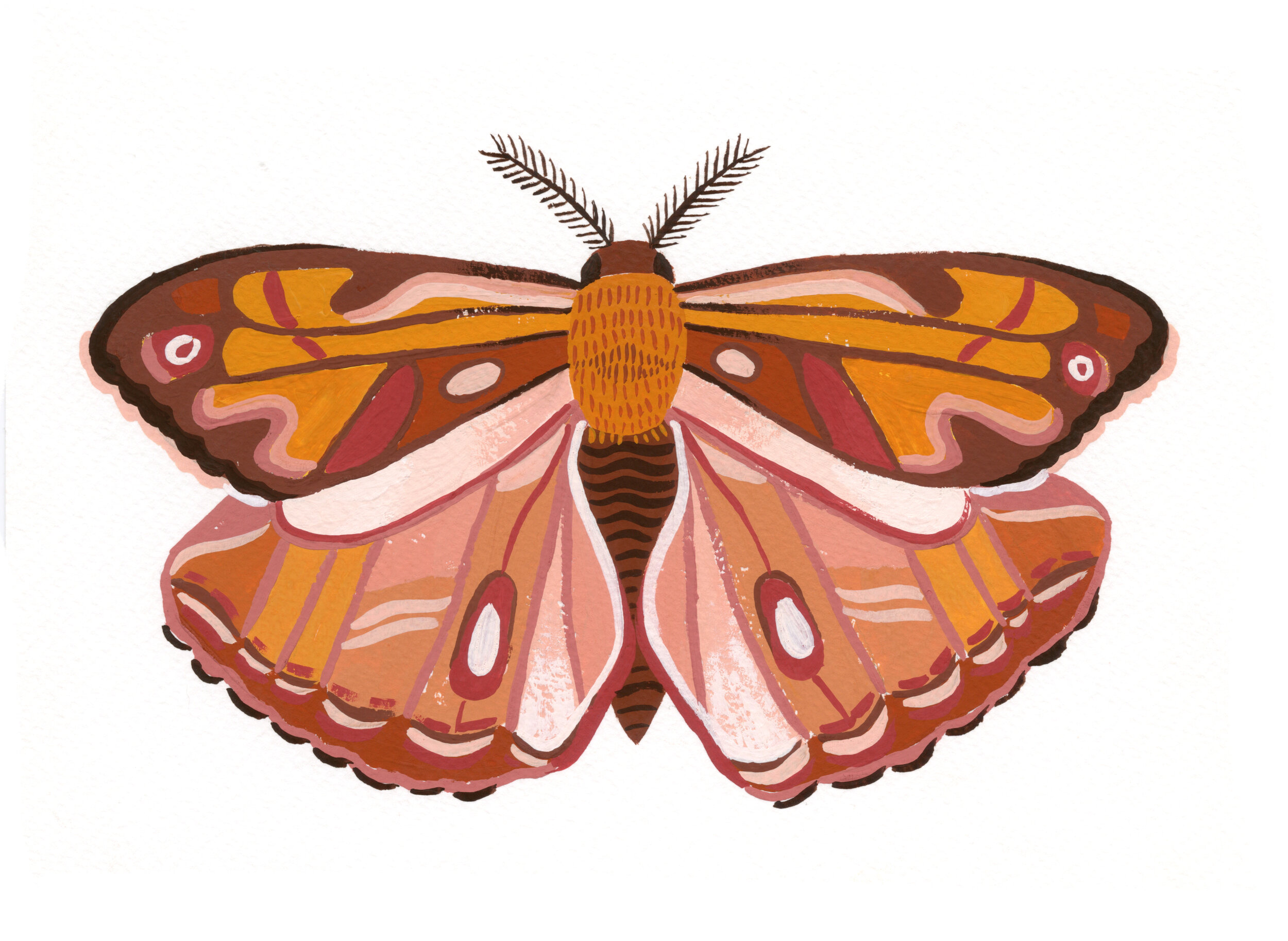 Leader Moth.jpg