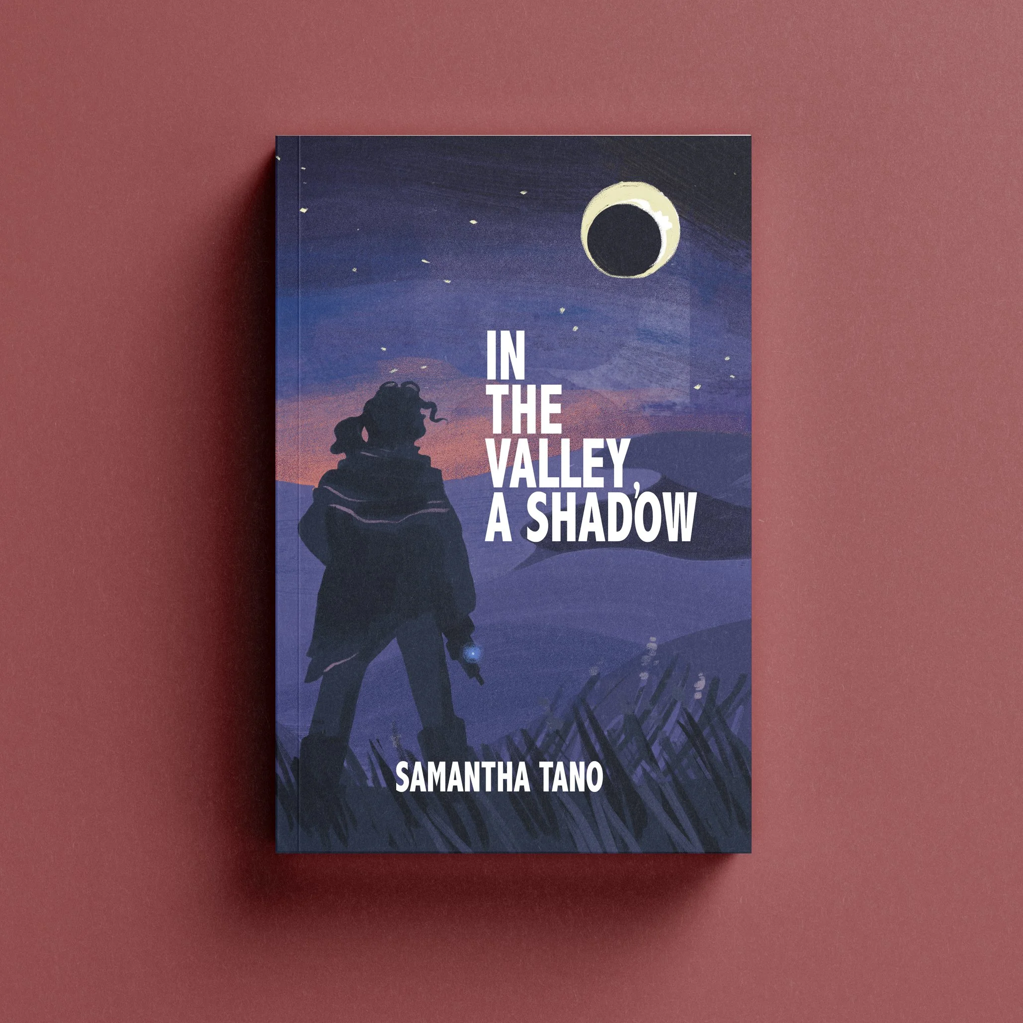 In the Valley, A Shadow Cover Final MockUp WEB copy.jpg