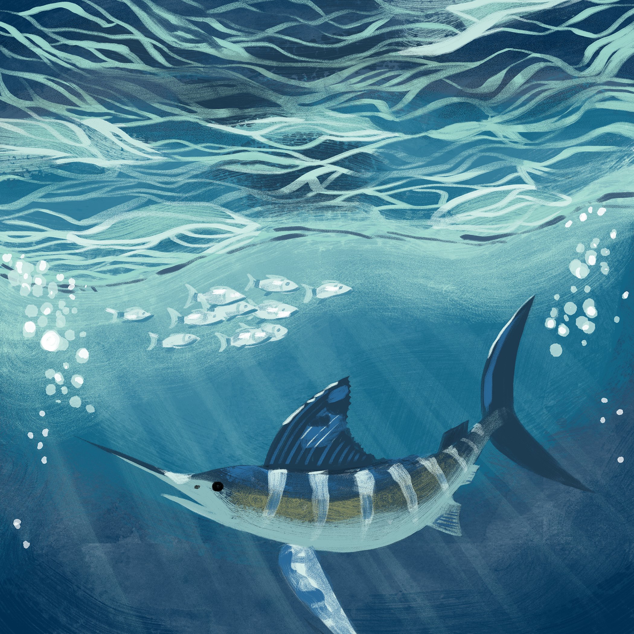 YETI Final--Water Illustration small.jpg