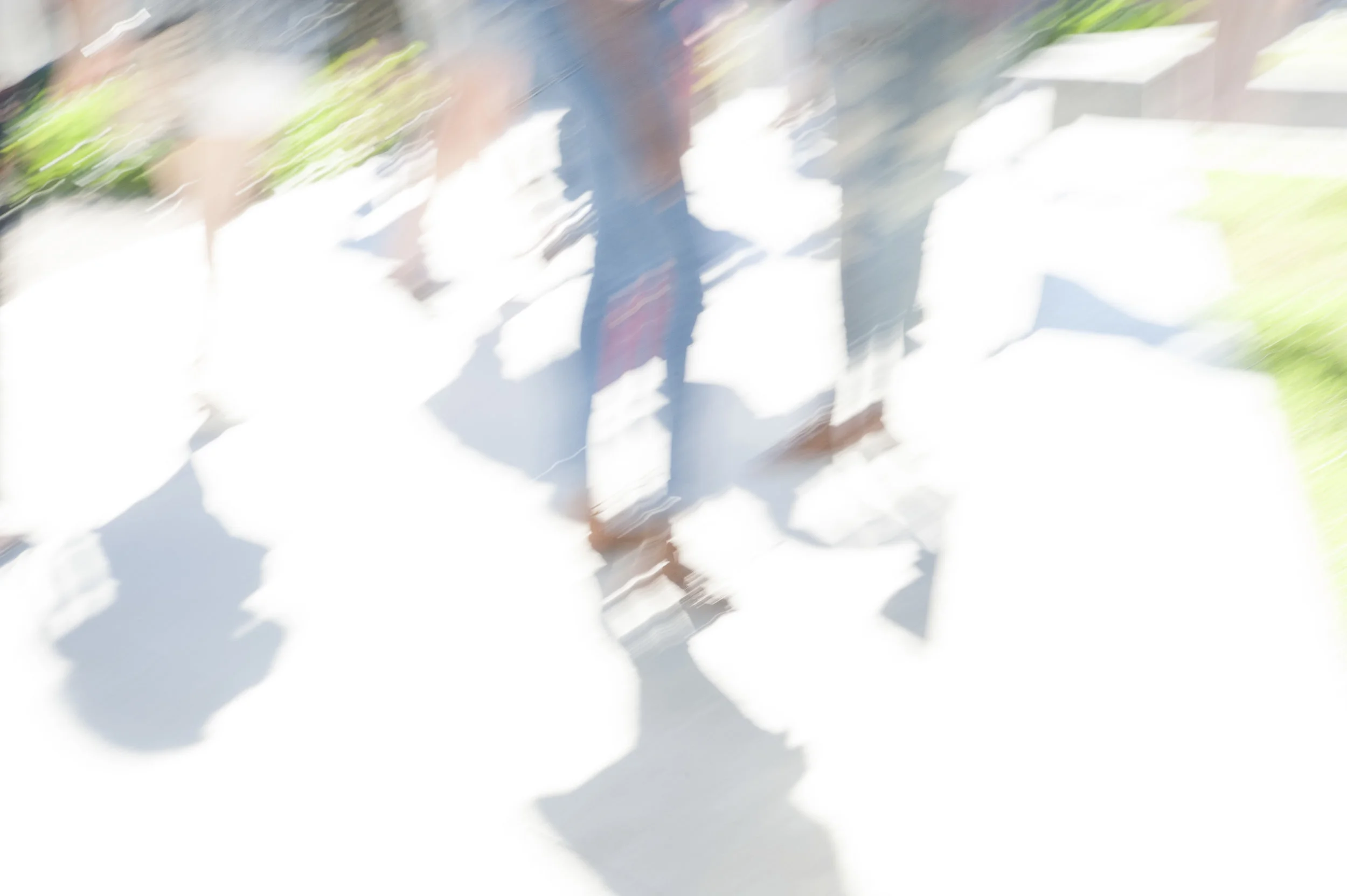 WYCHWOOD WALLS-982.jpg