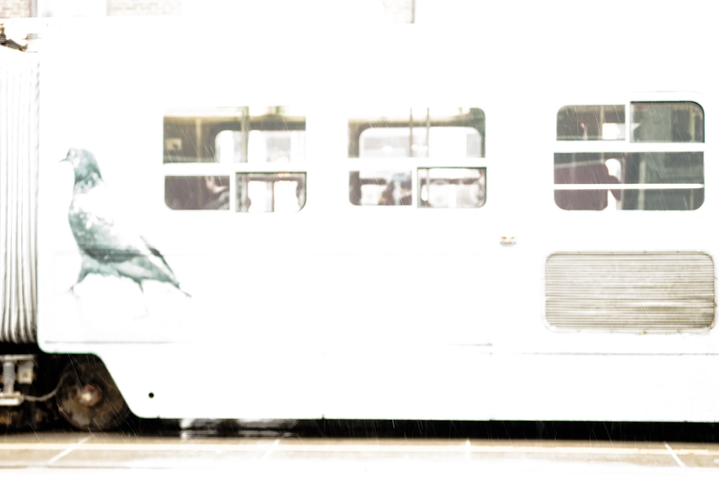 STREETCAR, LIGHT RAIN.jpg