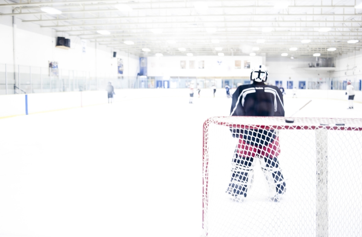 Netminder #4 (2016)