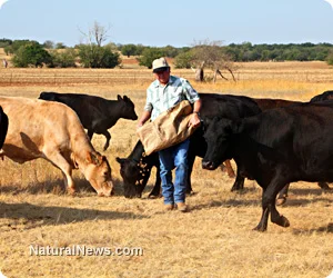 California Lowers Organic Standards in Face of Historic Drought 