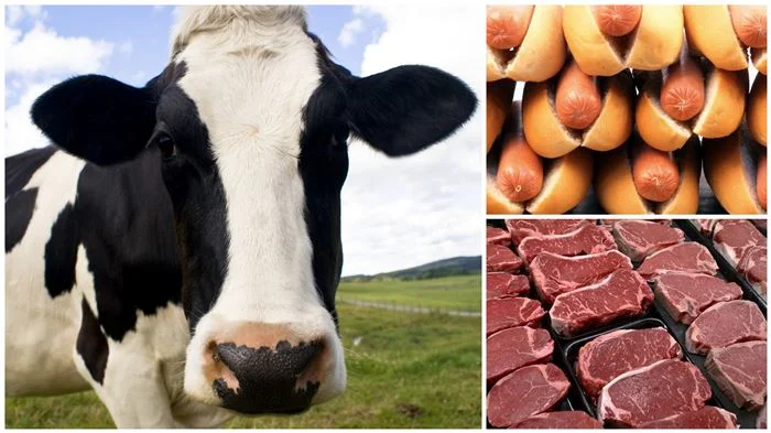 12 Dangerous Foods Americans Eat That Are Banned Around the World