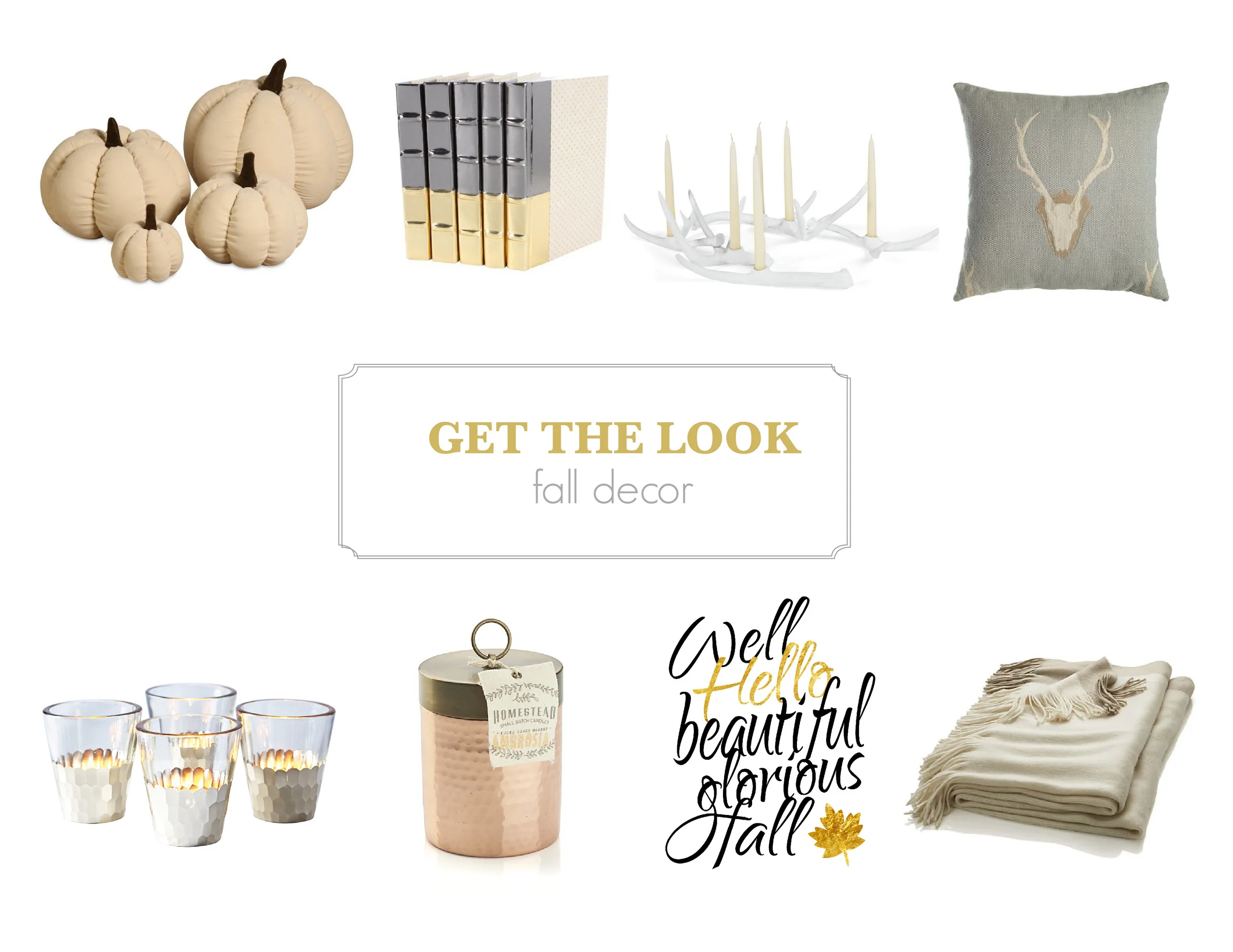 pumpkin spice & everything nice