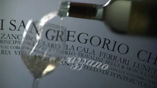 30 Years of Palm Bay Imports