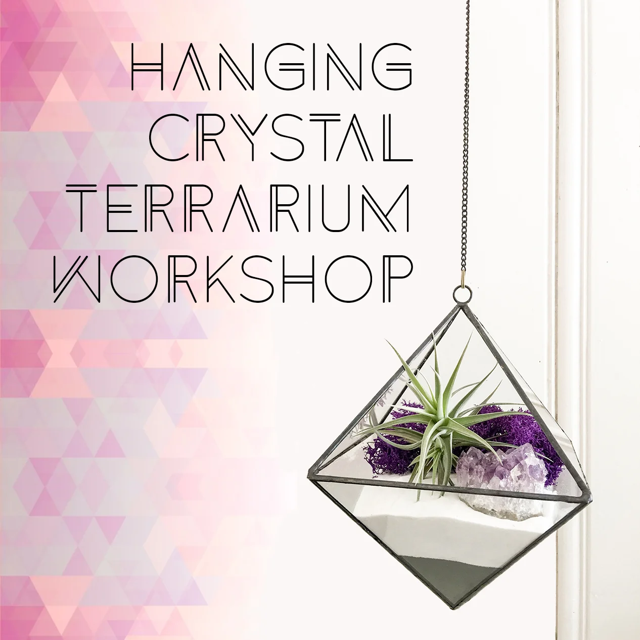 terrarium workshop.jpg