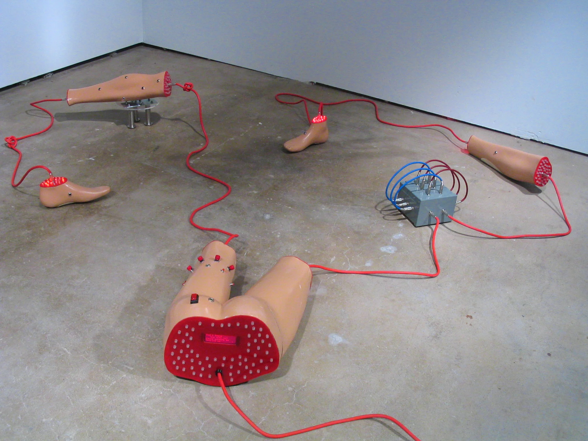 Beautiful Dismemberment