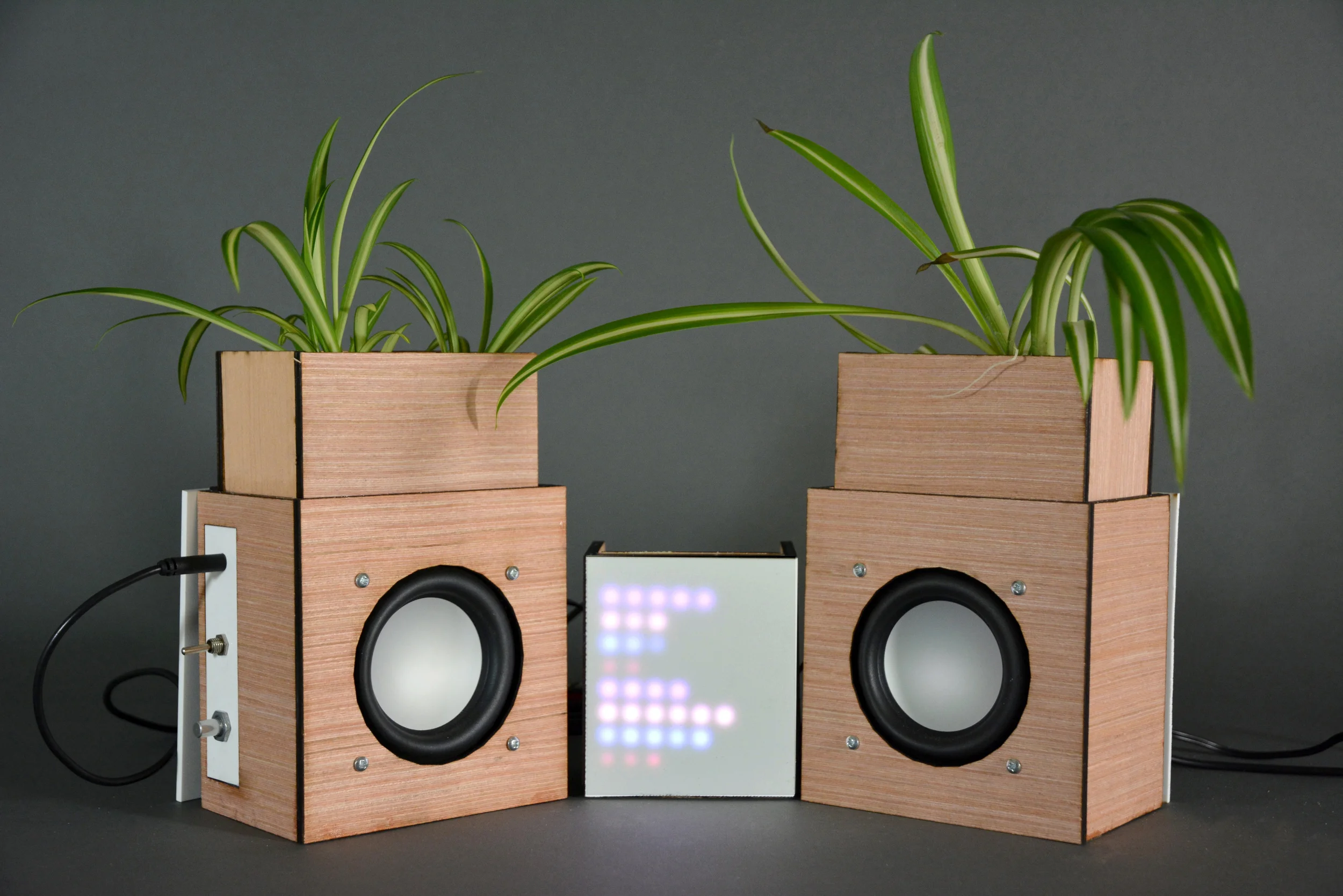 Chloe: with LED frequency visualizer