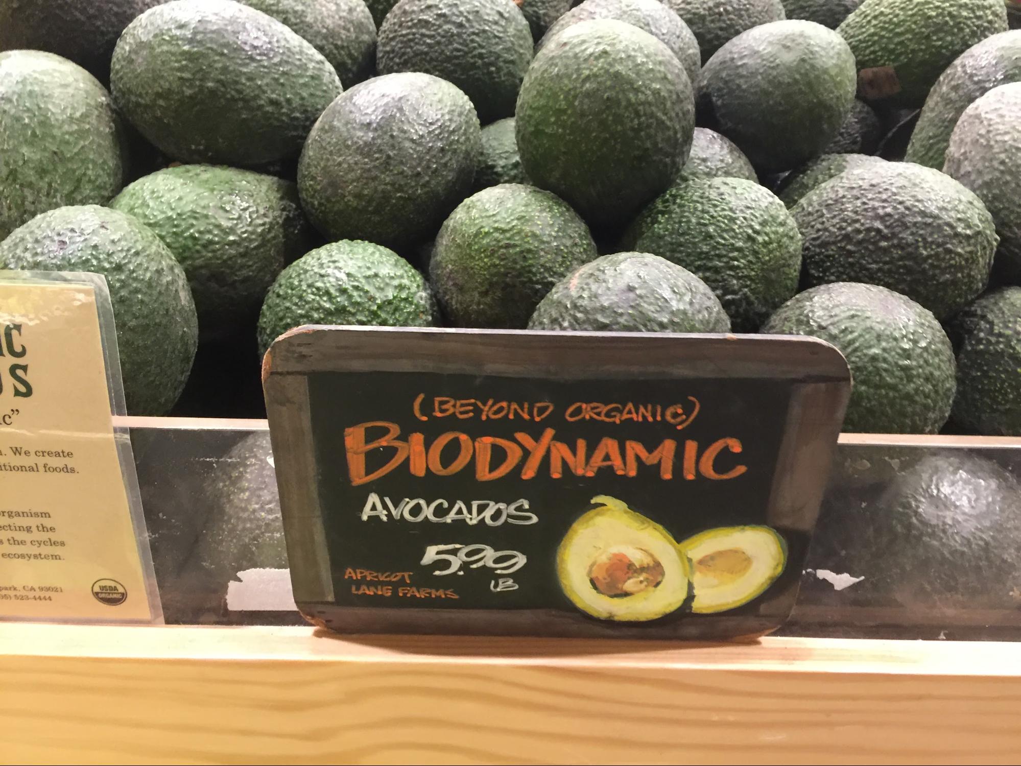 The elusive biodynamics