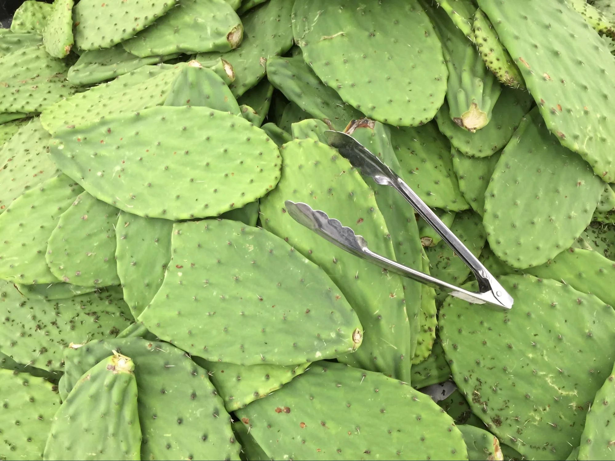 other treasures