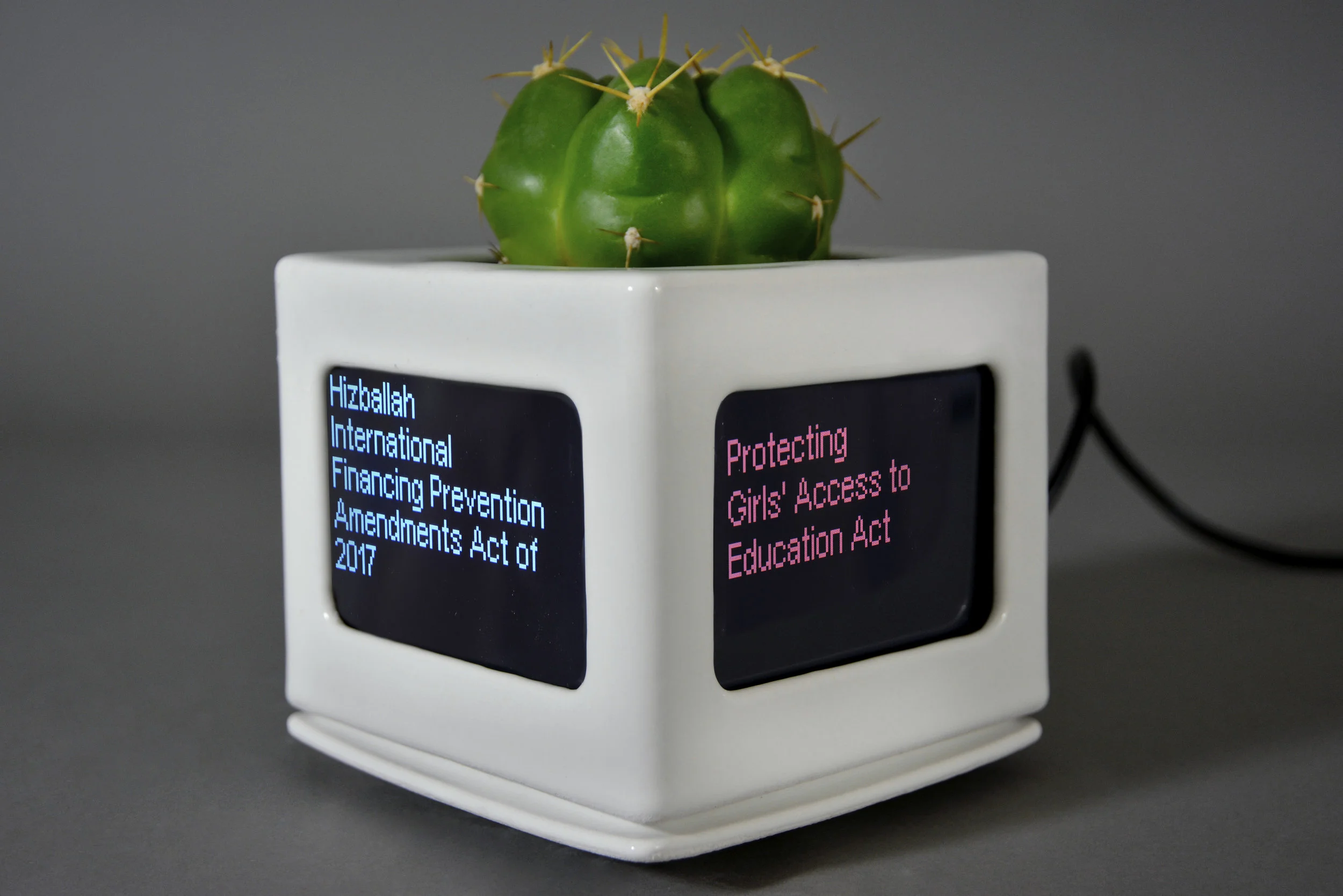prickly1.jpg