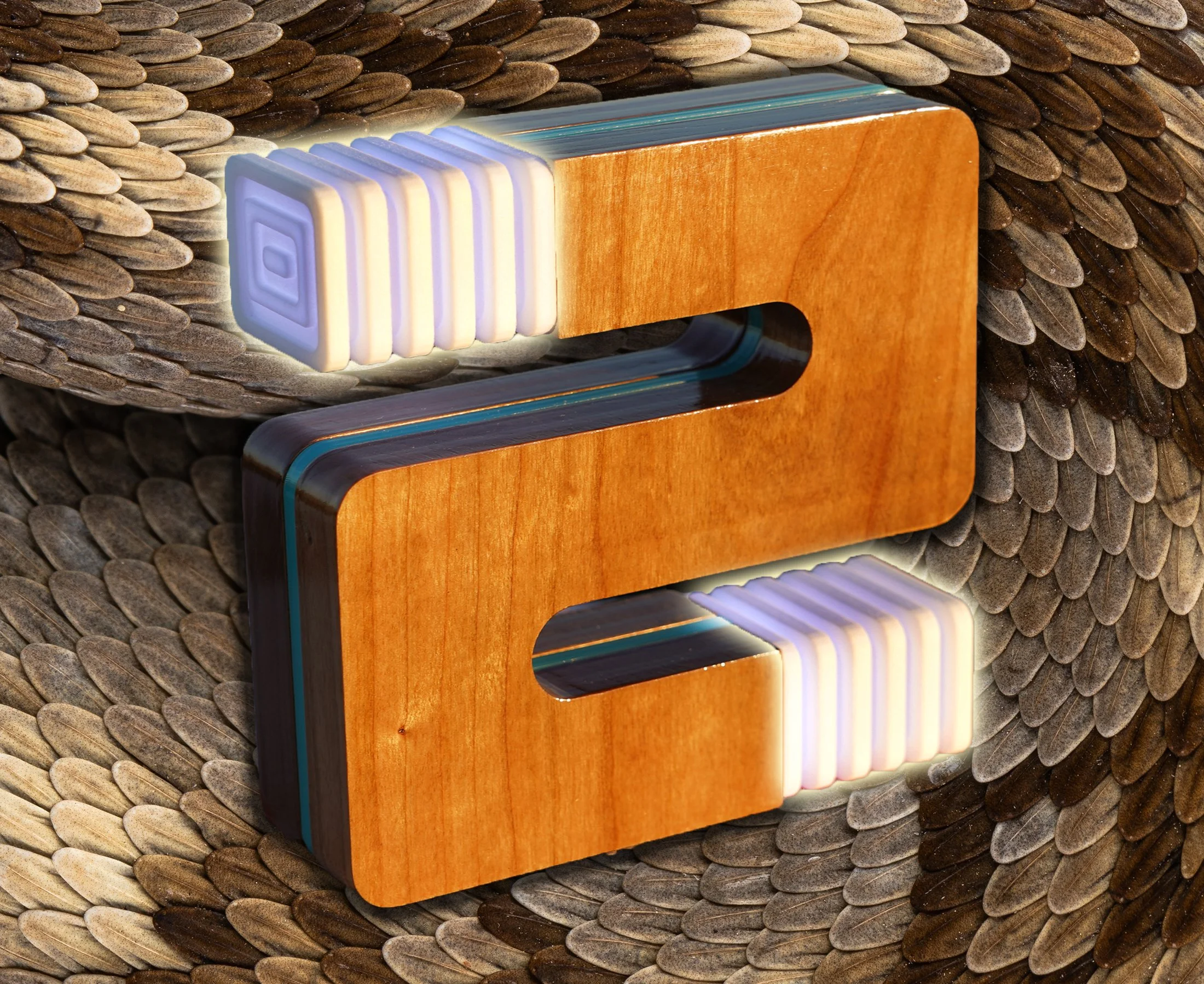 snakeskin copy.jpg