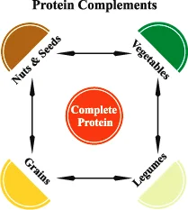 CompleteProtein.jpg