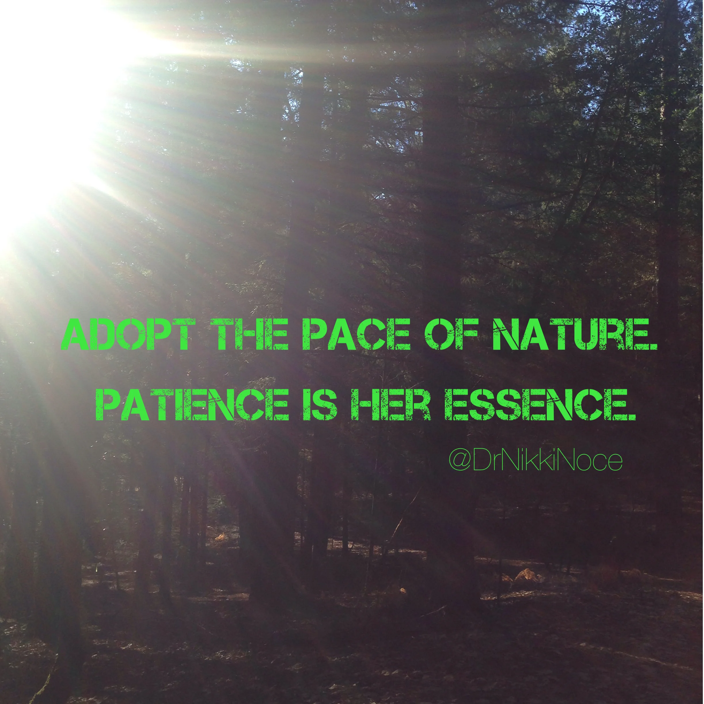 patience.jpeg