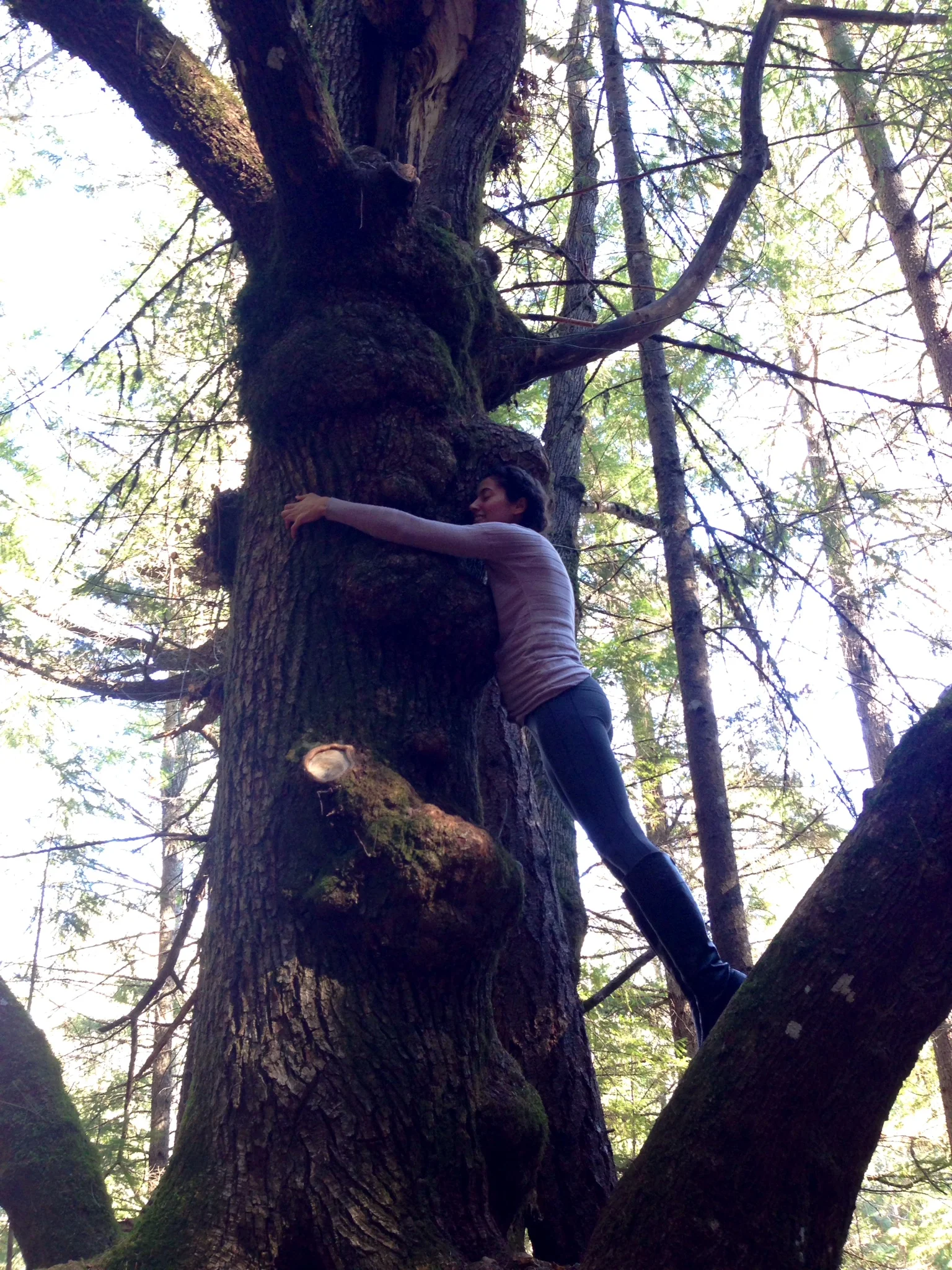 Ten days of silence and solitude was beyond life changing.