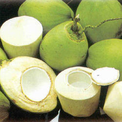 Coconuts come in many varieties, green and smooth or fuzzy and brown. In stores they are carved out like the bottom right. 