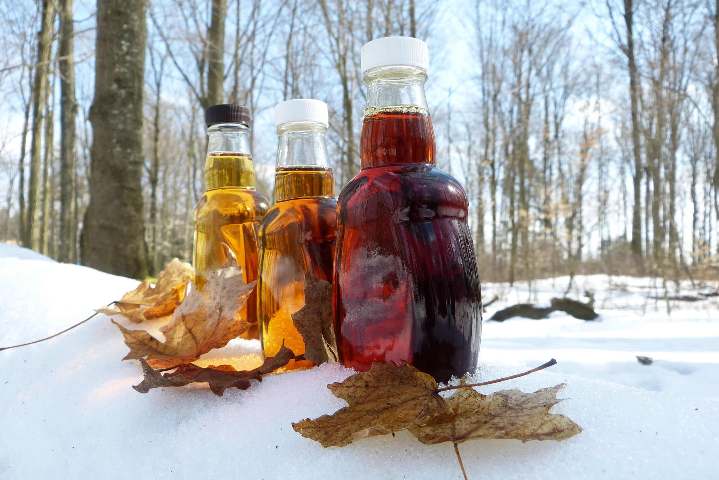Superfood Spotlight: Maple Syrup