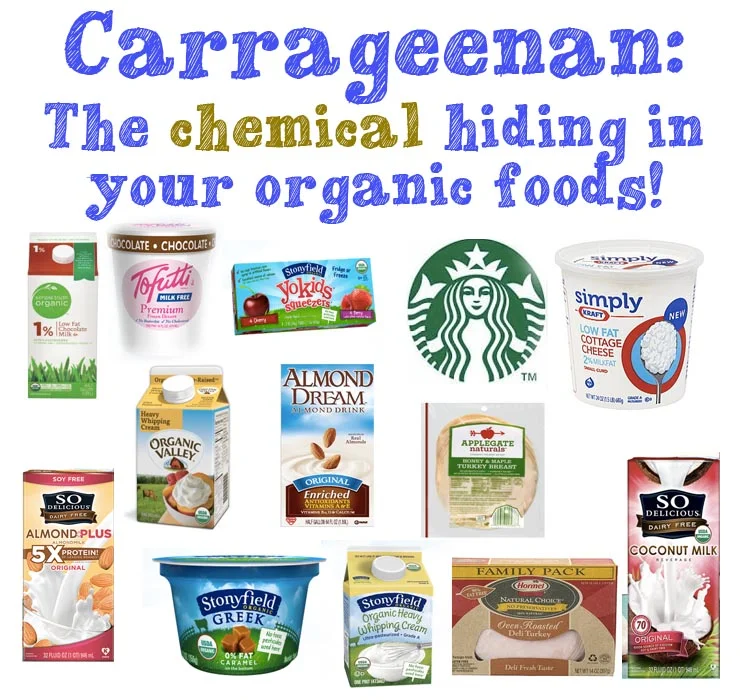 4 Reasons You Must to Avoid Carrageenan