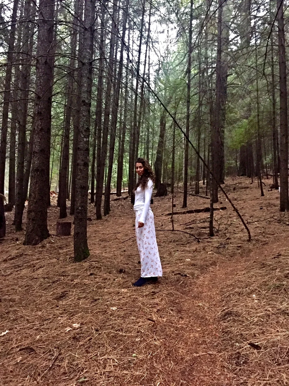 Vipassana: 10 Days of Silence Revisited