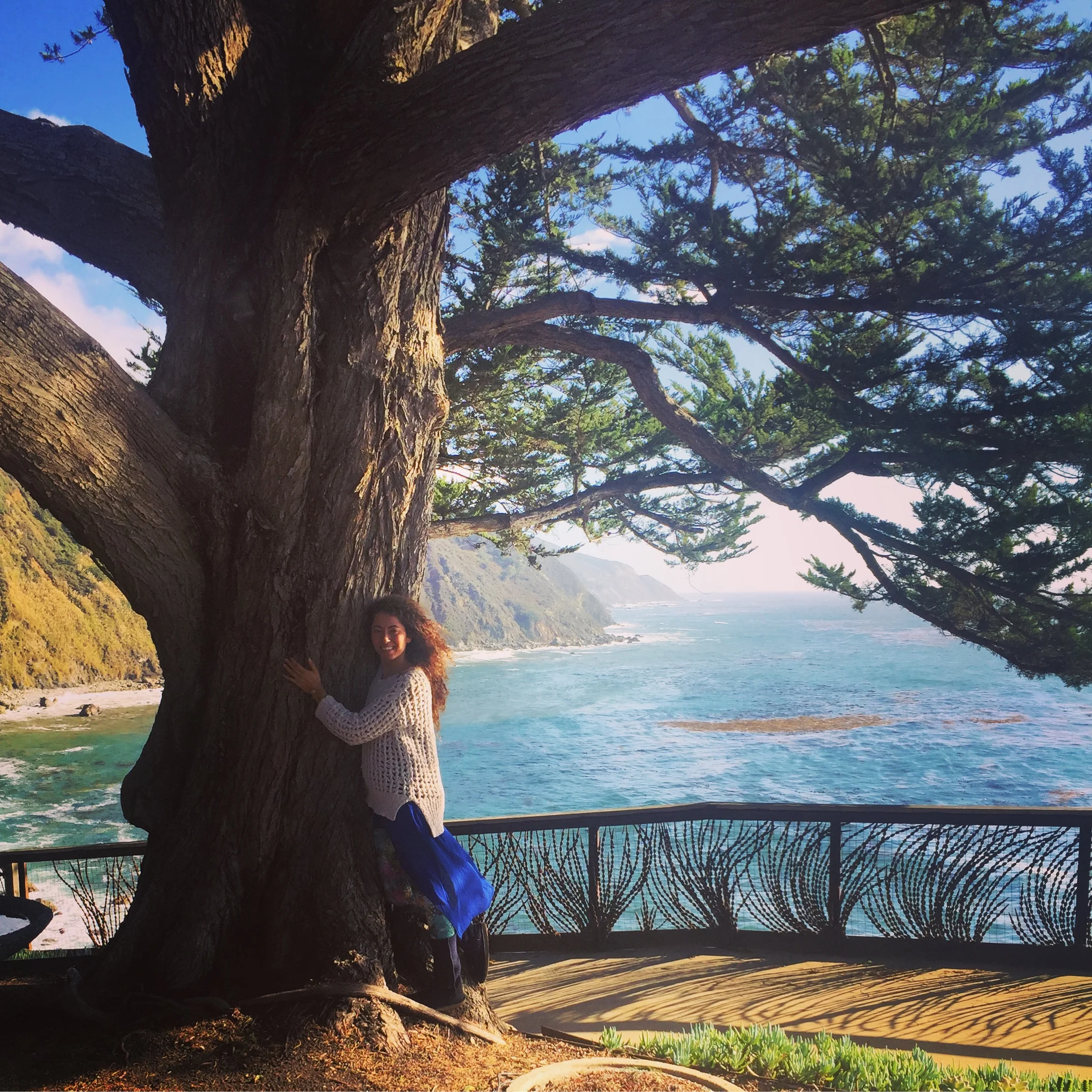 A less typical Thanksgiving message...