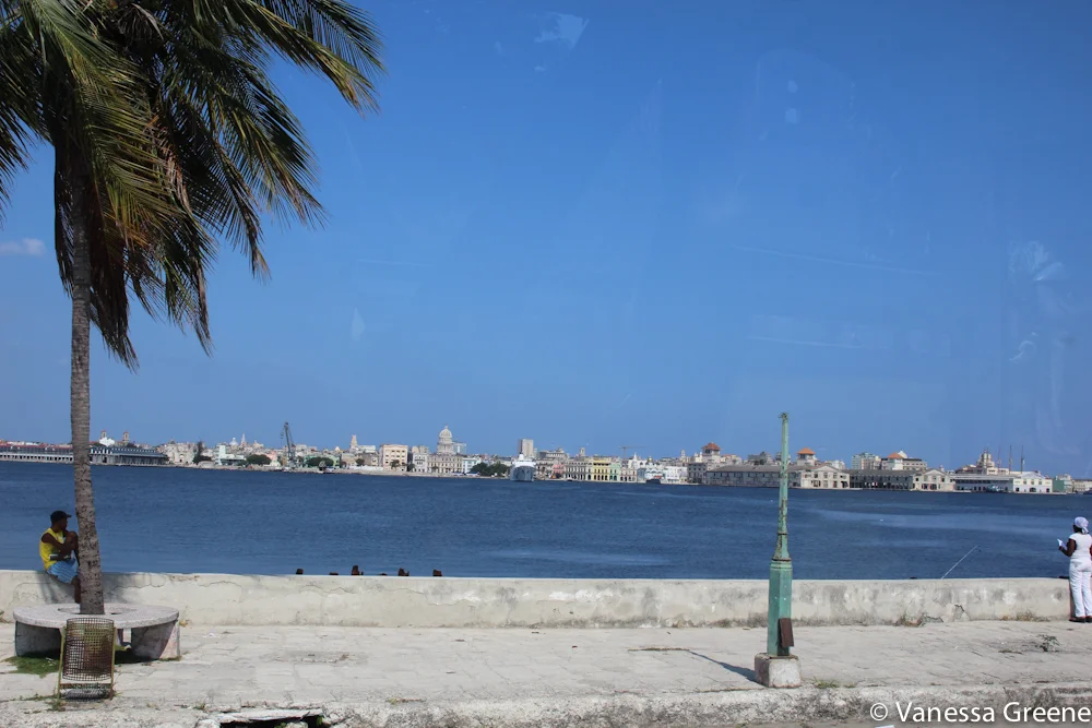 IMG_7630.jpg