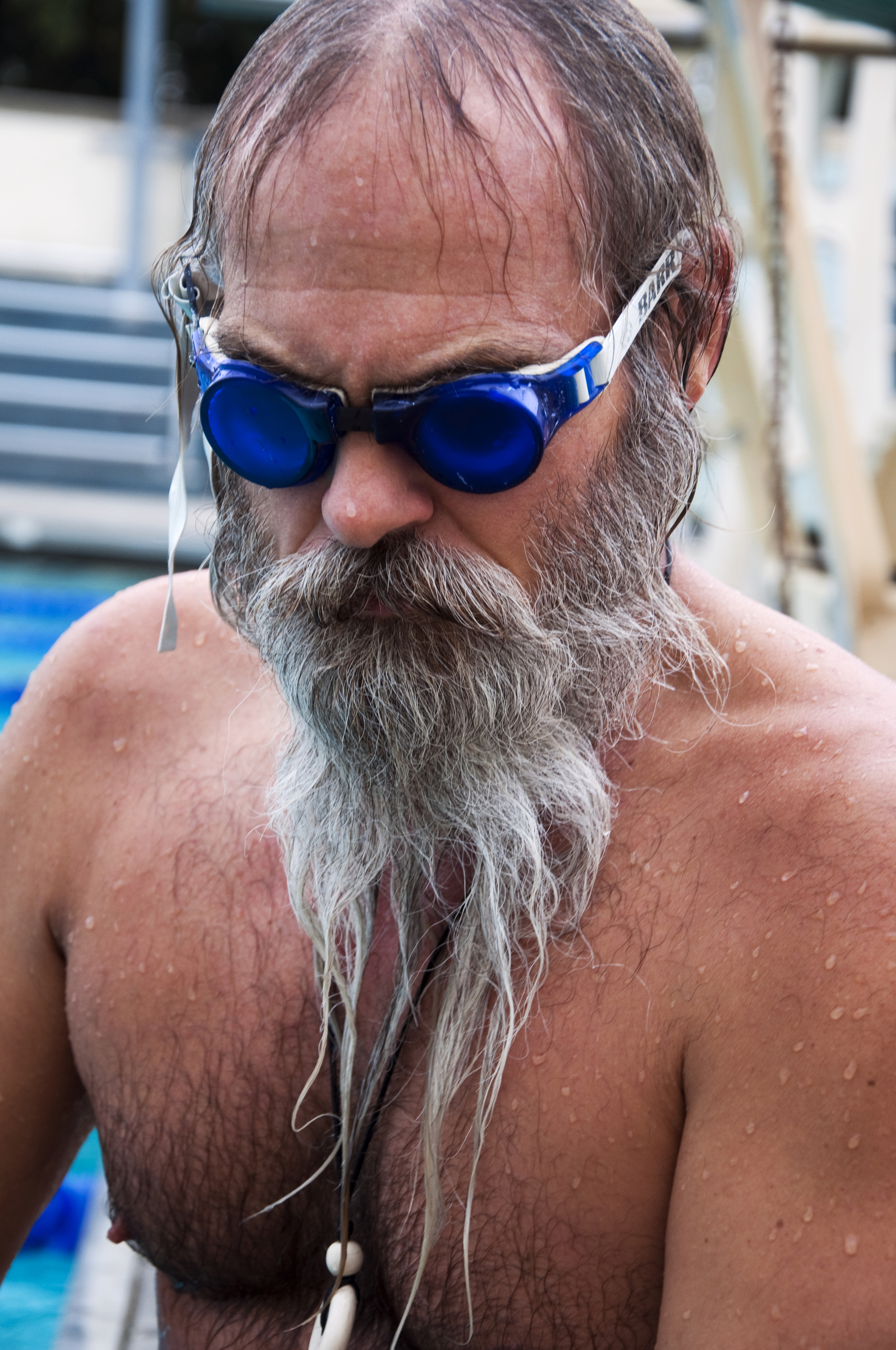 Fries_Cat_10print1 copy.jpg