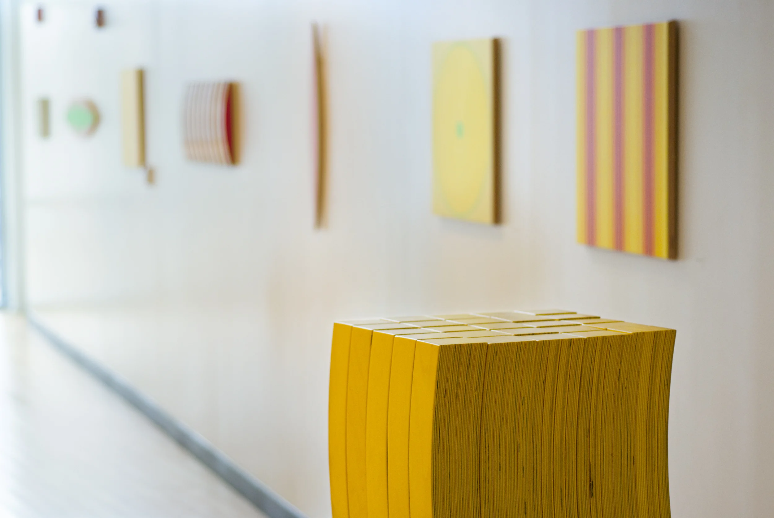 Montgomery College 2010 