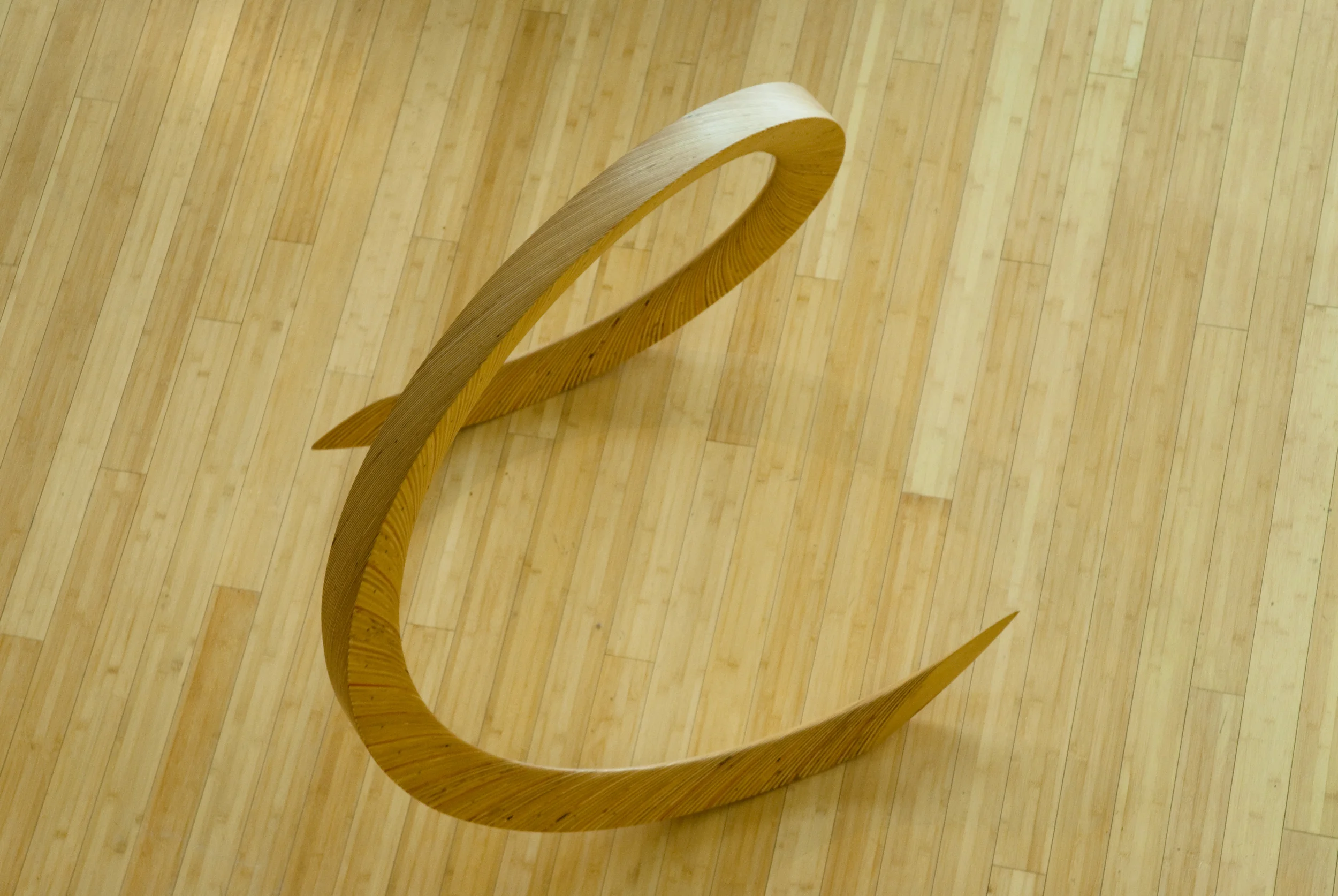 Montgomery College 2010 