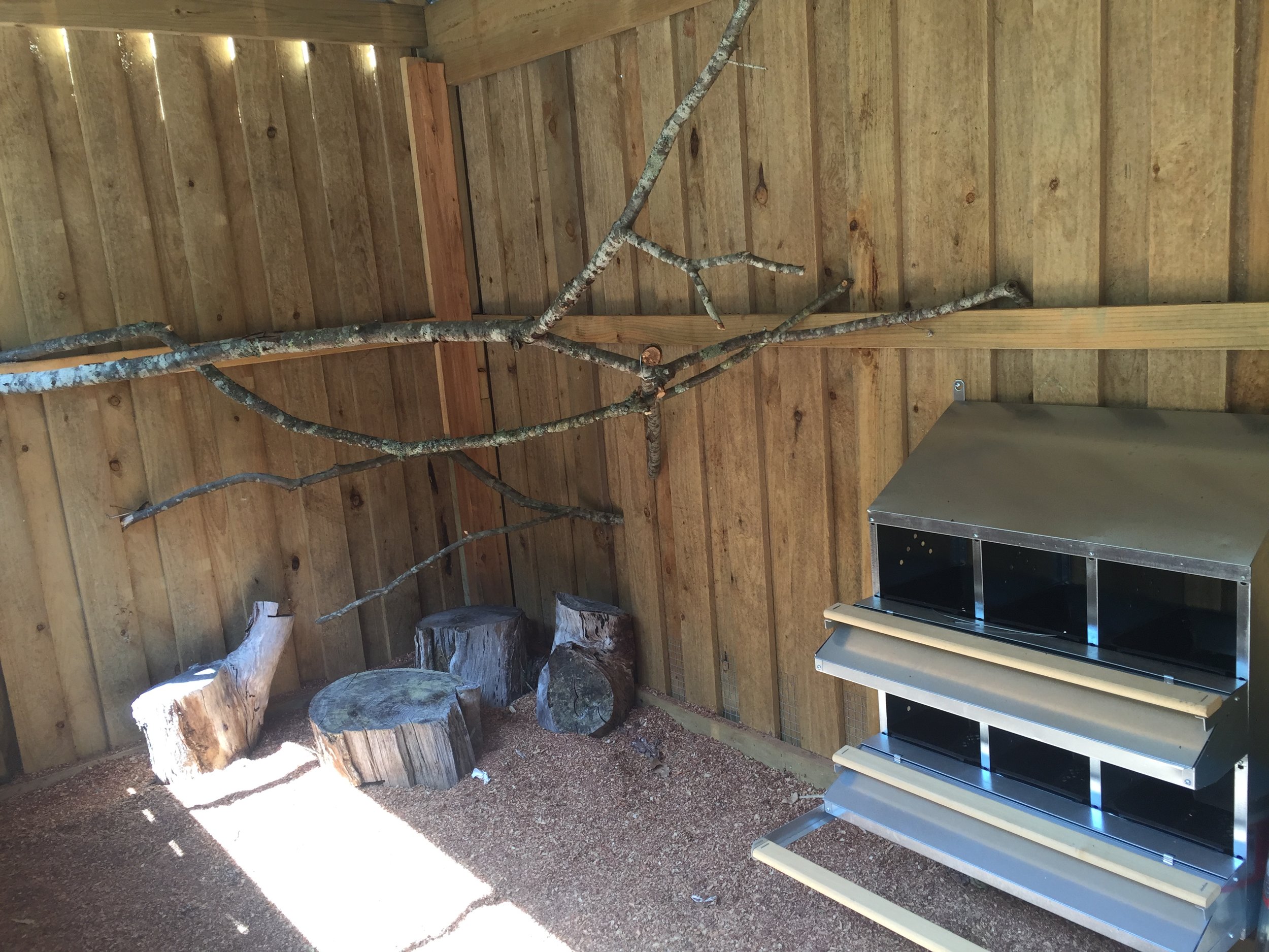 Chicken roosts and rollaway nesting boxes.
