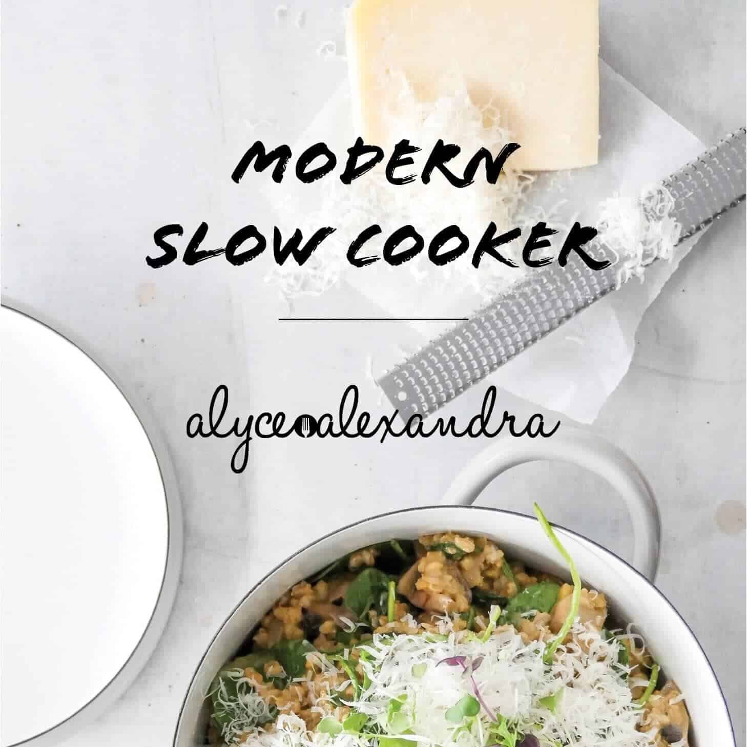 Slow Cooker Recipes + Thermomix Prep Options by alyce alexandra