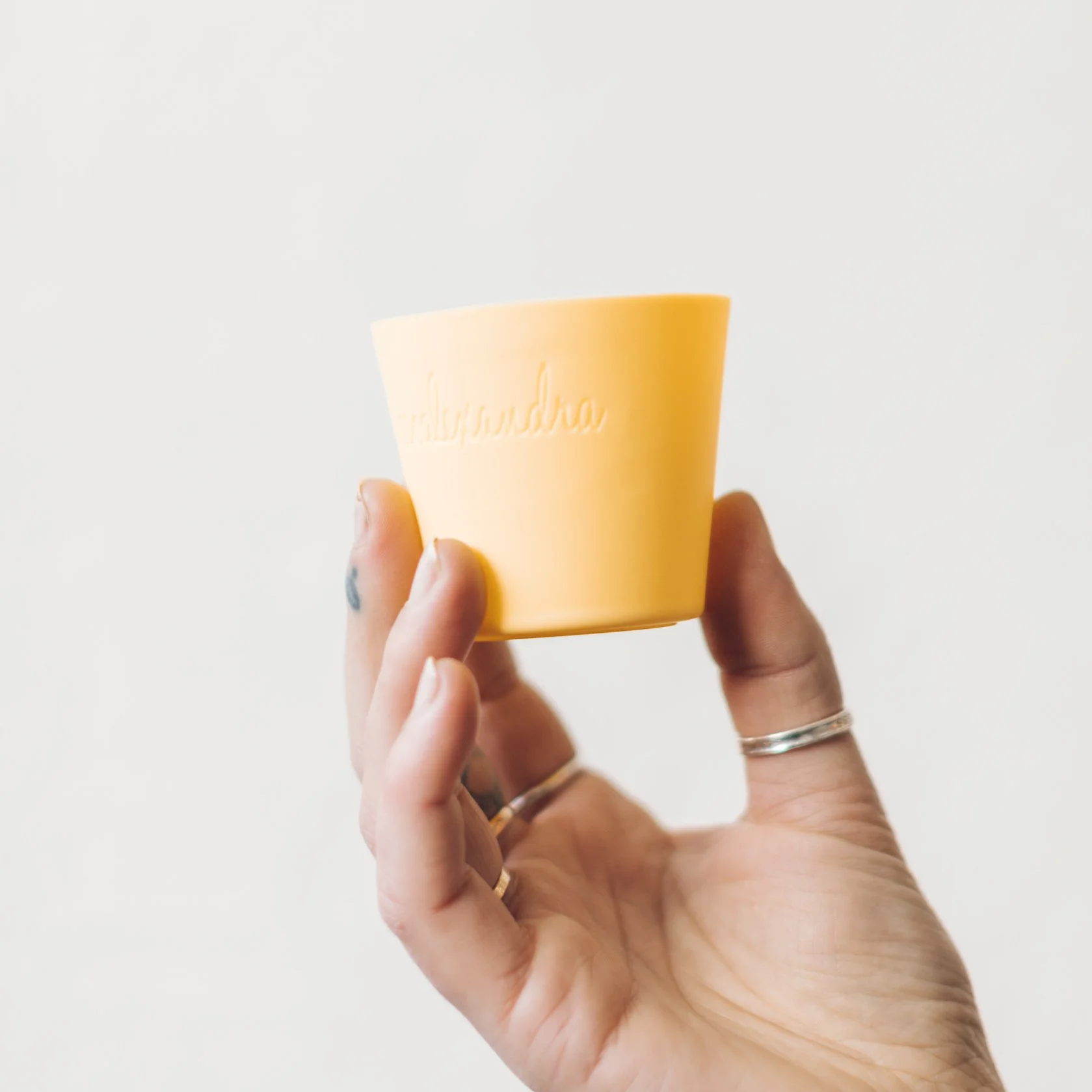 yellow spatular, d moulds, cheesecake recipe-8.jpg