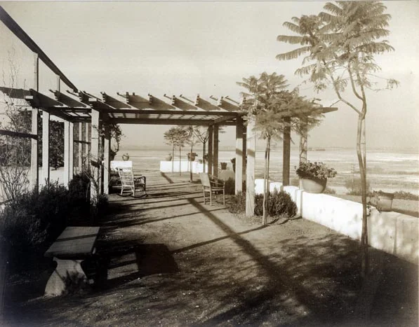Jacaranda Walk, 1928.jpg