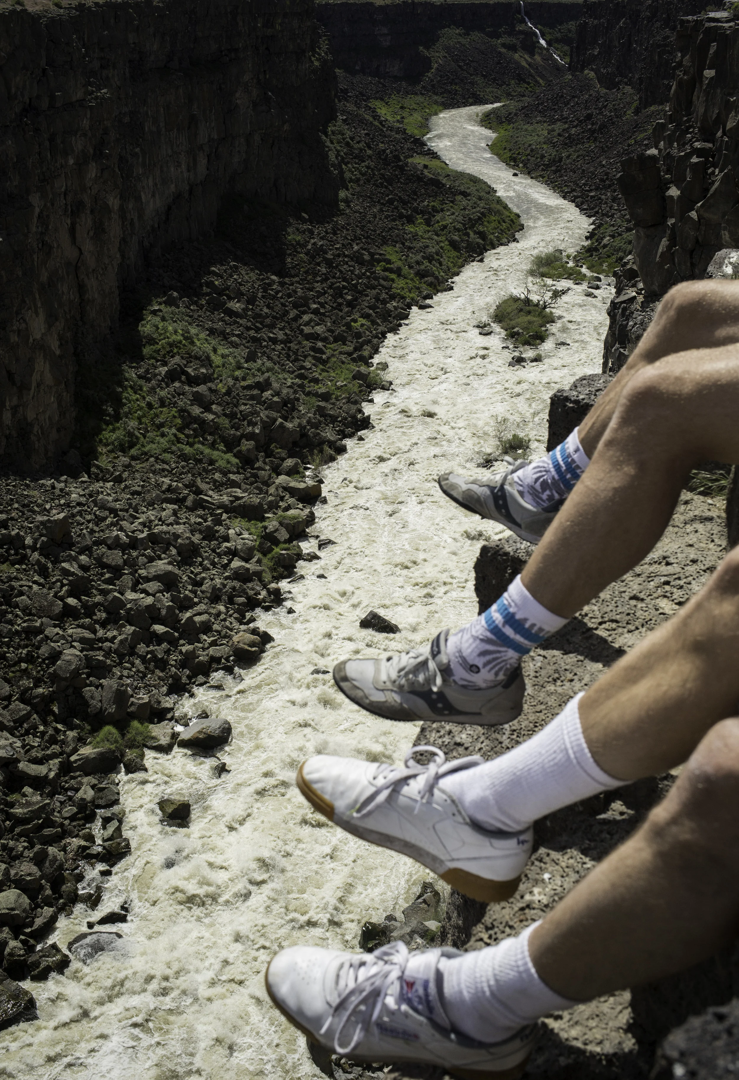 idaho.legs.jpg