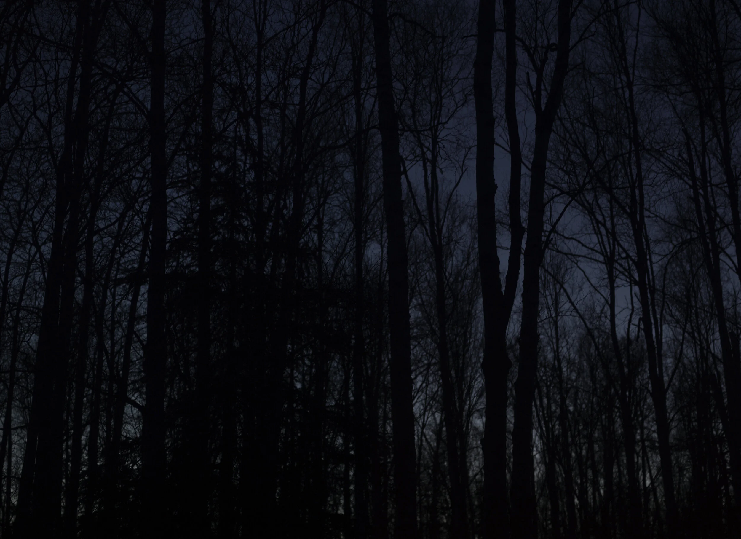 6CFD16D0-CE7C-42A0-BC46-E9057C17DF1A