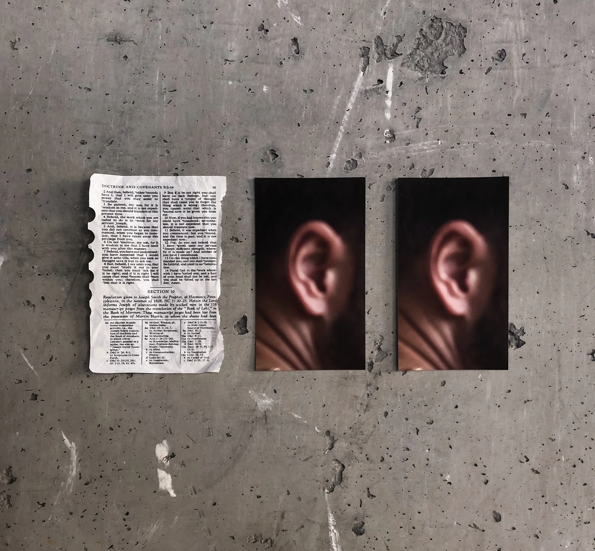 56EE9D2C-B9E1-430F-AD4C-E2D5F2478F20