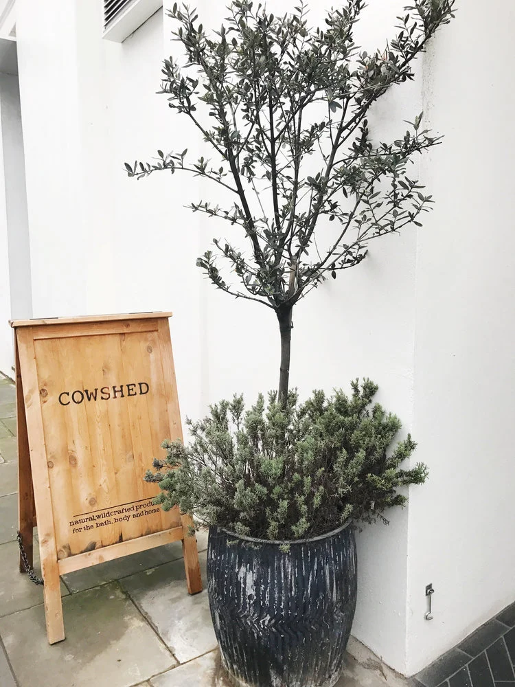 My London | Cowshed Spa at Clarendon Cross