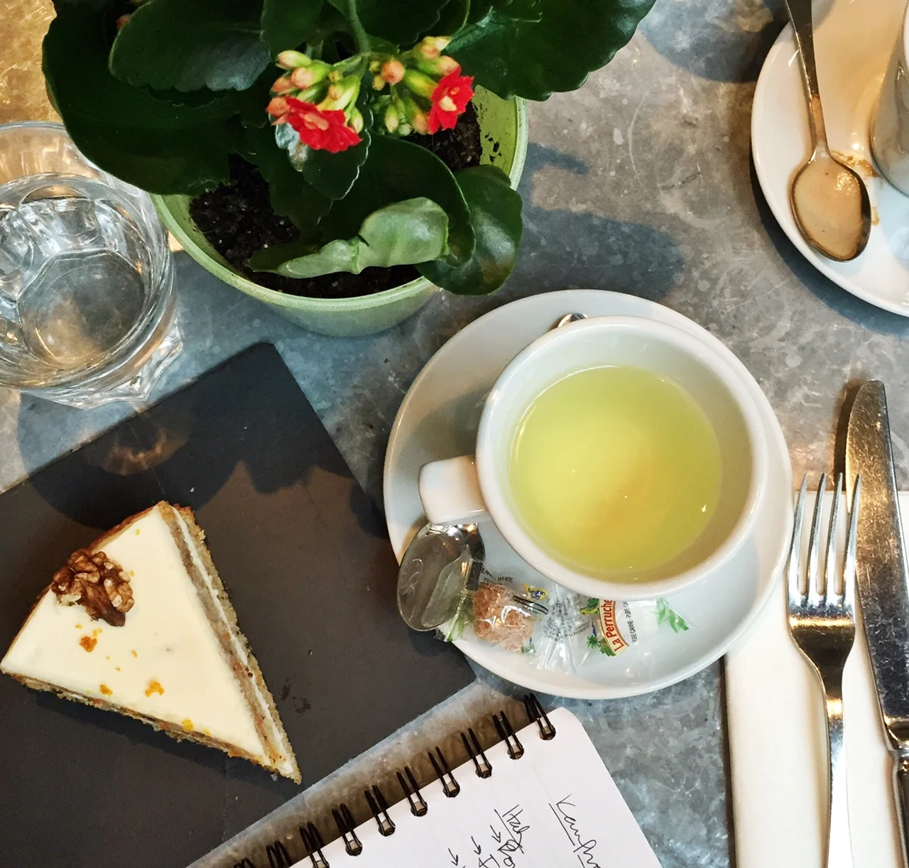 Why Are Travel Consults Are A Thing.