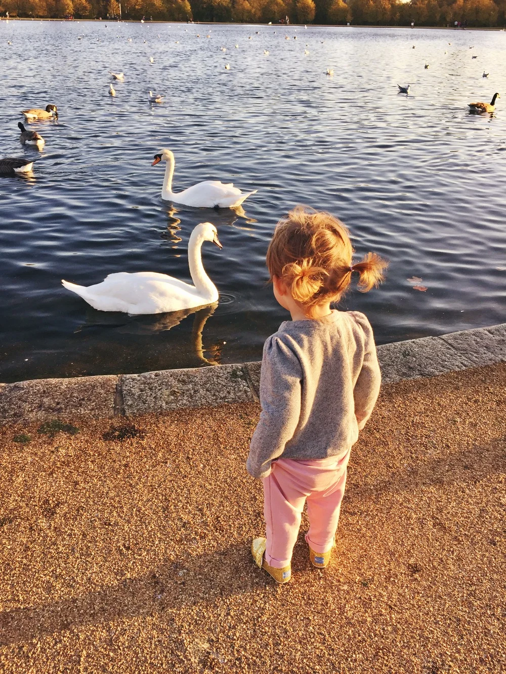 A Walk in The Park.