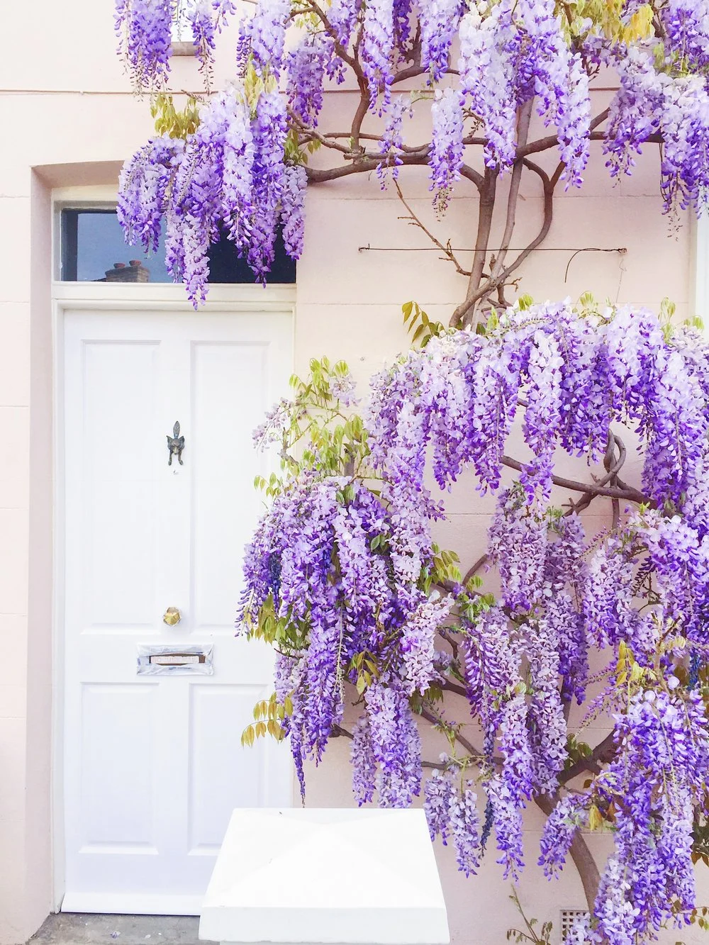 Brook Green | A Local's Neighbourhood Guide