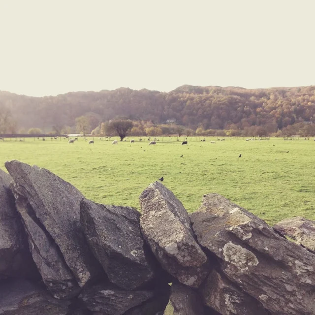 Pack Your Bags: The Lakes District (England)