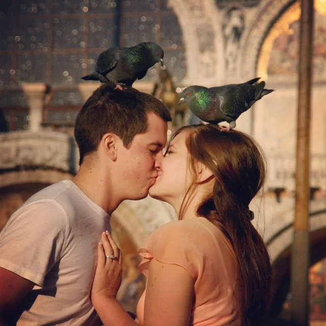 An Aspiring Kennedy's Postcard Collection