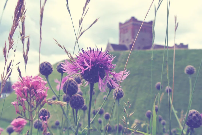 Been {to} Dover?